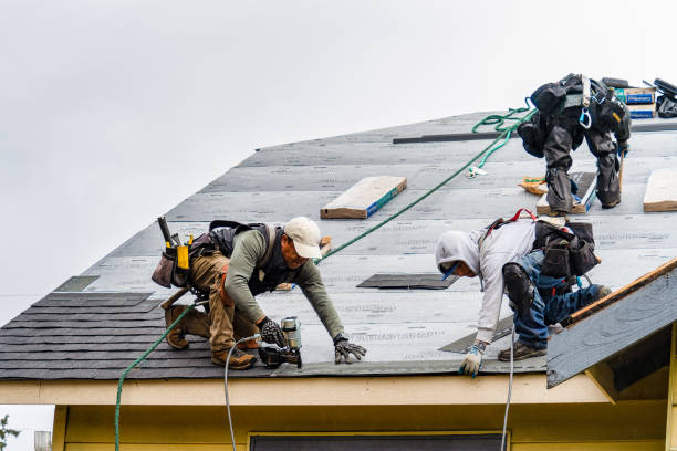 Professional Gutter Installation technician working in Palestine, TX
